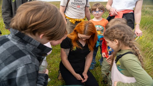 Wildflower event at Divis and the Black Mountain